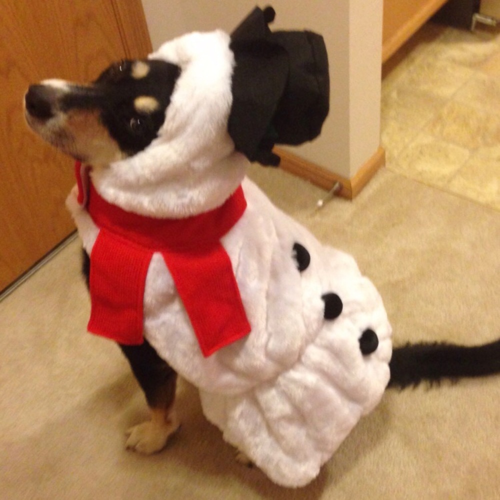 DOG SNOWMAN COSTUME ⛄️